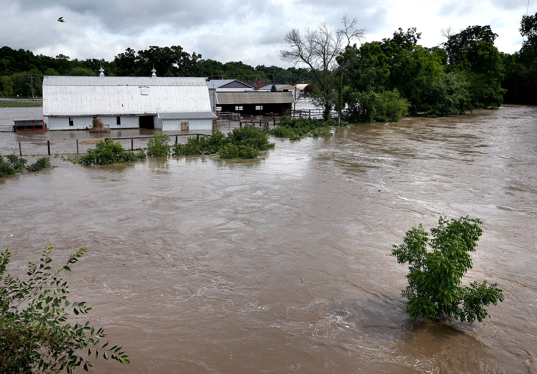 Galesville Flooding